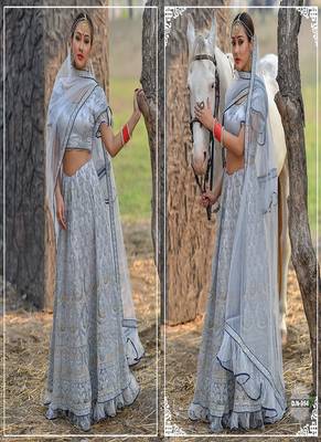 Grey embroidered net semi stitched lehenga 2