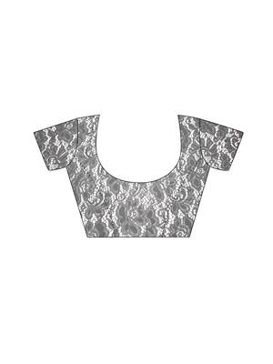 Grey Brasso Net Saree With Blouse 5