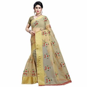 Chiku embroidered organza saree with blouse 1