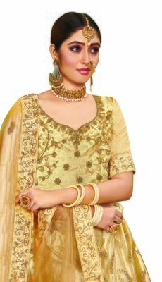 Beige Embroidered Net Semi Stitched Lehenga 2