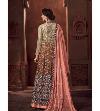 Multicolor embroidered net salwar 2
