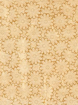 Penited Window Yellow Set of 2 Curtain 4