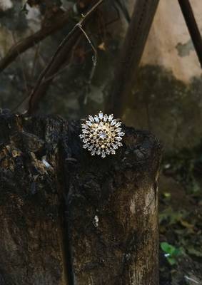 Gold rings 1