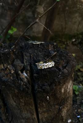 Gold rings 3