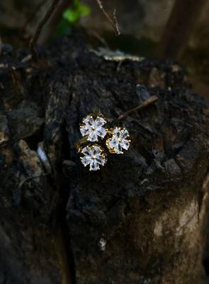Gold rings 1