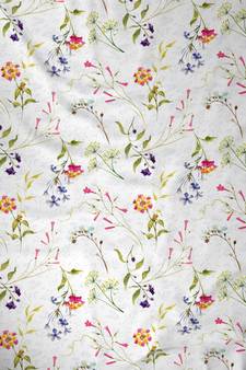 ROSARA HOME Voile Digital Print Pack of 2 Curtains
