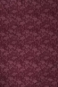 ROSARA HOME Olivia-Dyed Jacquard Pack of 2 Curtains