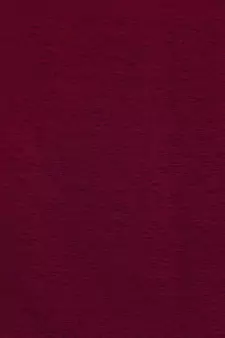 ROSARA HOME Mateo Voile Pack of 4 Door Curtains