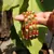 Traditional  Gold Plated Bangles With Multi Colored Bead Set Of 4