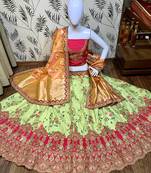 Light-Green Embroidered Silk Semi Stitched Lehenga