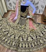 Blue Embroidered Velvet Semi Stitched Lehenga