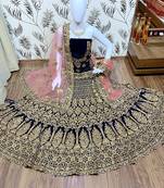 Blue Embroidered Velvet Semi Stitched Lehenga