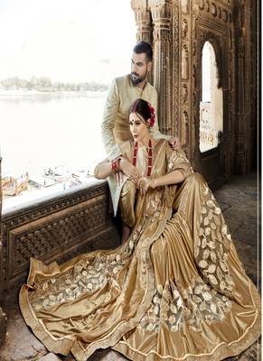 Gold embroidered fancy fabric saree with blouse 2