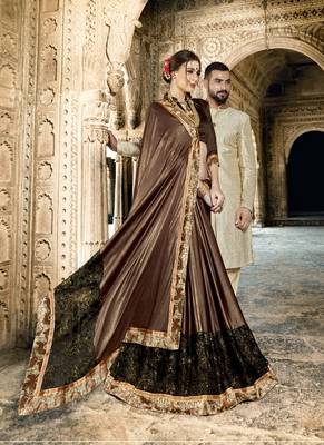   chocolate embroidered fancy fabric saree with blouse 2