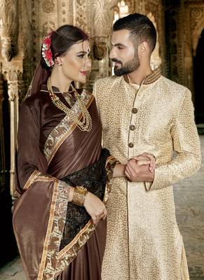   chocolate embroidered fancy fabric saree with blouse 3