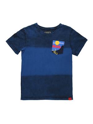 Blue Printed Cotton Boys Tshirts 1