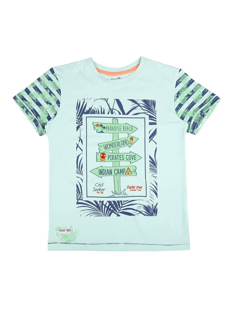 Blue Printed Cotton Boys Tshirts