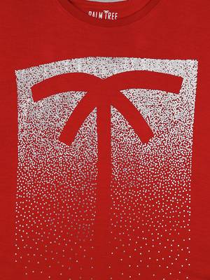 Maroon Printed Cotton Boys Tshirts 3