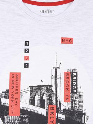 Grey Printed Cotton Boys Tshirts 3