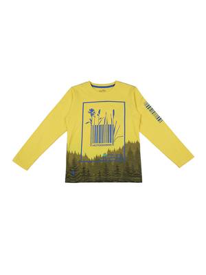 Yellow Printed Cotton Boys Tshirts 1