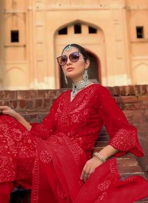 Red Net Pakistani Salwar Kameez 2