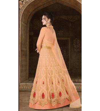 Peach resham embroidery net salwar 2