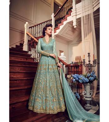 Sky blue resham embroidery net salwar 1