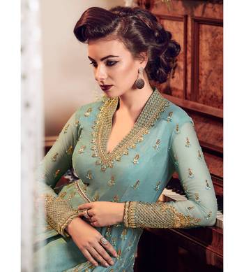 Sky blue resham embroidery net salwar 2