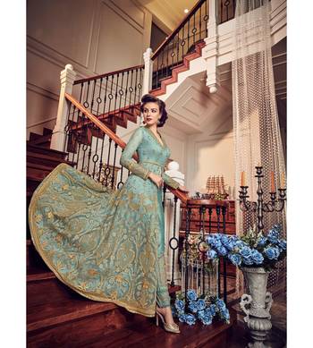 Sky blue resham embroidery net salwar 3