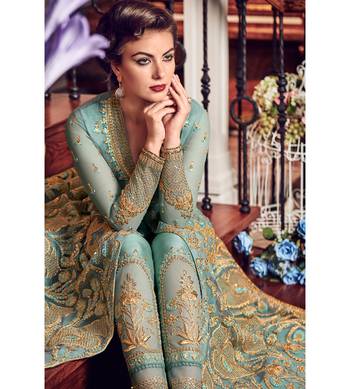 Sky blue resham embroidery net salwar 4