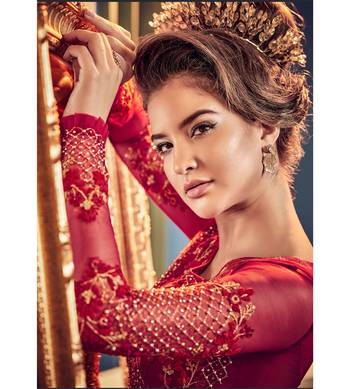 Red resham embroidery net salwar 4