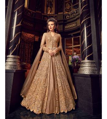 Beige resham embroidery net salwar 1