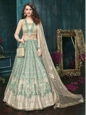 Light blue embroidered net salwar 1
