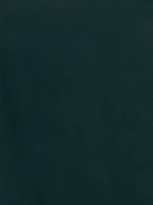 Green Embroidered Chiffon saree with blouse 4