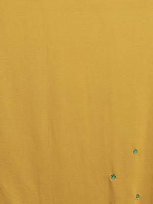 Mustard Embroidered Chiffon saree with blouse 5