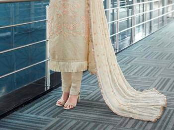 Beige embroidered net salwar 3