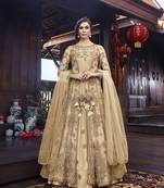 Beige multi resham work net salwar