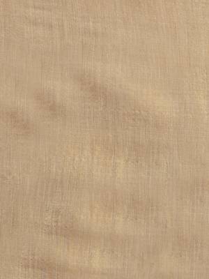 Rama Coloured Chiffon saree with Blouse Saree. 4