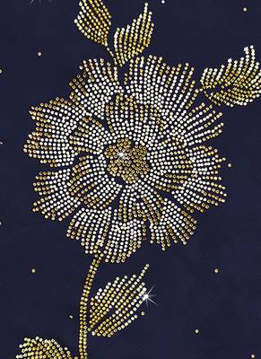 Blue Embroidered Semi Stitched Salwar With Dupatta 4