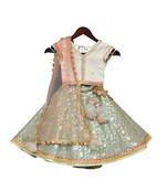 Blue And White Cotton Embroidered Lehenga