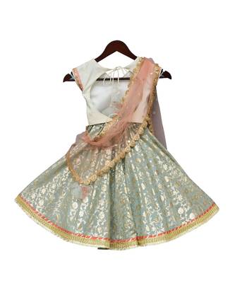 Blue And White Cotton Embroidered Lehenga  2