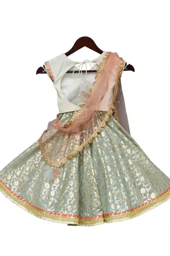 Blue And White Cotton Embroidered Lehenga 