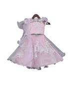 Pastel Pink Embroidery Choli with Lehenga