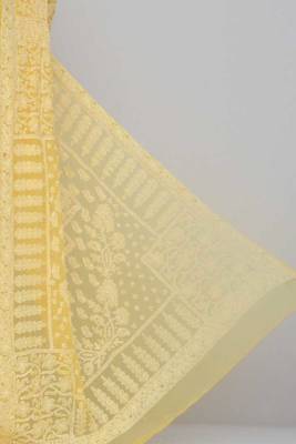 Yellow Allover Jaal Heavy Palla Hand Embroidered Lucknowi Chikankari Saree 2