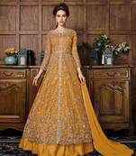 Bronze embroidered net salwar