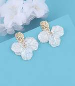 Stylish Charm Earring For Girl And Women