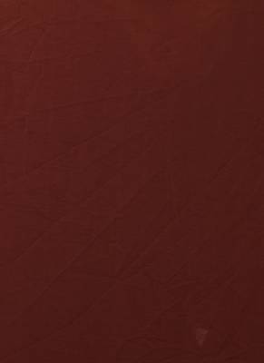 Brown Kitsch Ikkat Blended Georgette Digital Printed Saree 4