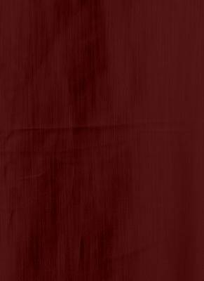 Monochrome Ikkat  Blended Linen Satin Digital Printed Saree 4