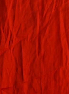 Red Colour Blended Organza Saree With Beeded Lace Border 4