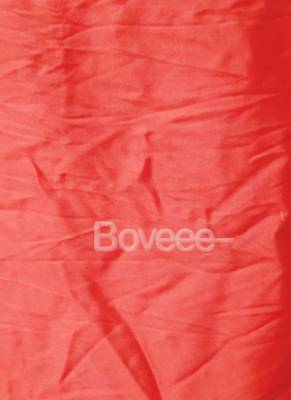 Pink & Red Organza Tie  Dye Saree With Golden Border 4